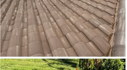 Tile roof after cleaning